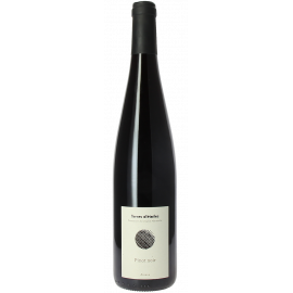 Pinot Noir Terres d'Etoiles  -  Domaine Christophe Mittnacht
