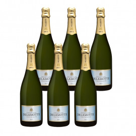 6x75 cl  Champagne DELAMOTTE Brut