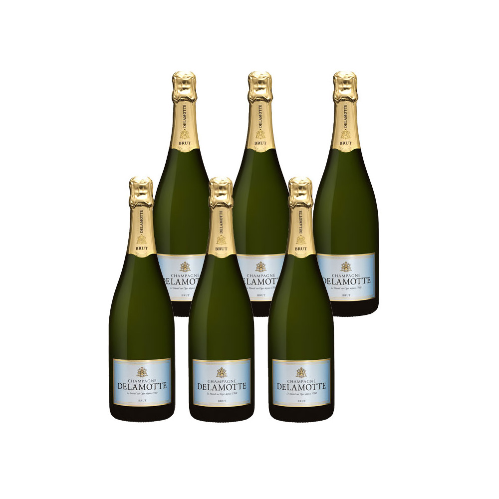 6x75 cl  Champagne DELAMOTTE Brut