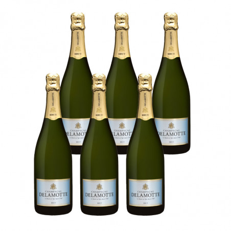 6x75 cl  Champagne DELAMOTTE Brut