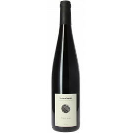 Pinot Noir 2023 Terres d'Etoiles BIO - Domaine Mittnacht