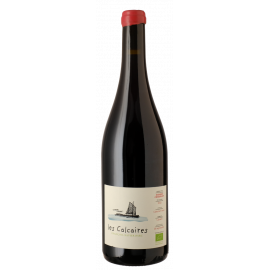 les Calcaires 2024 BIO Saumur Champigny - François-Xavier Barc