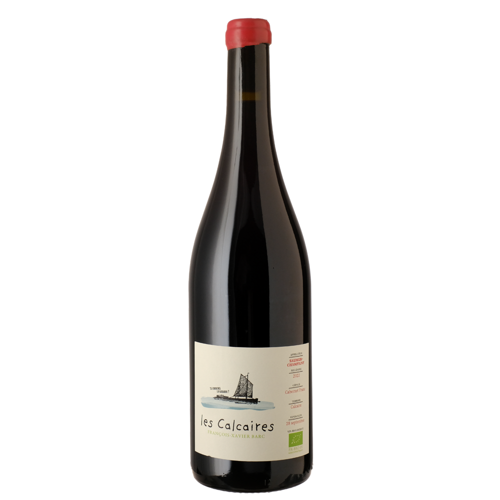 les Calcaires 2024 BIO Saumur Champigny - François-Xavier Barc