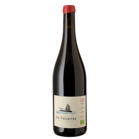 les Calcaires 2024 BIO Saumur Champigny - François-Xavier Barc