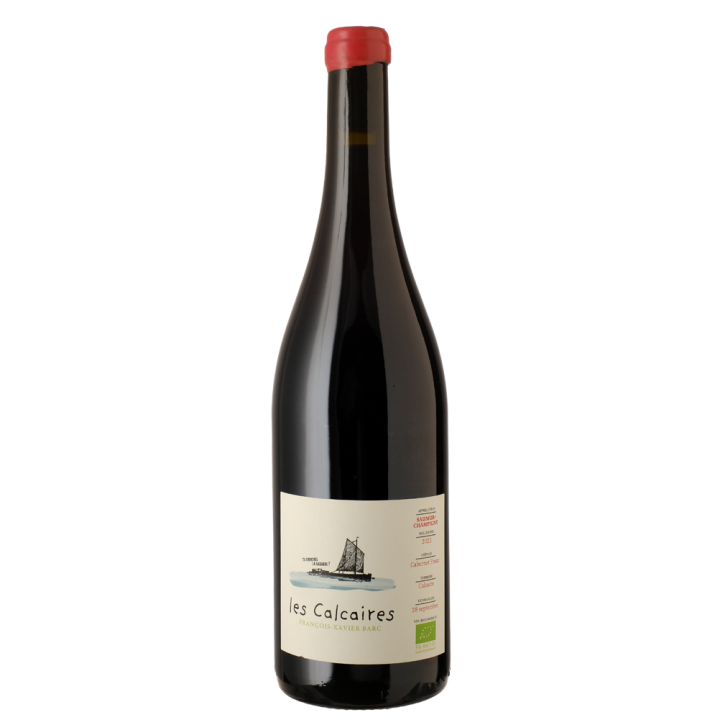 les Calcaires 2024 BIO Saumur Champigny - François-Xavier Barc