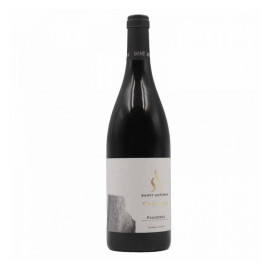 Faugères AOP 2022 BIO -  Domaine Saint Antonin