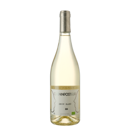 Cheninposteur 2024 BIO Anjou AOP - Philippe Germain