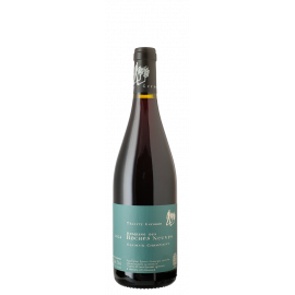 Saumur-champigny 2024 BIO - Domaine des Roches Neuves