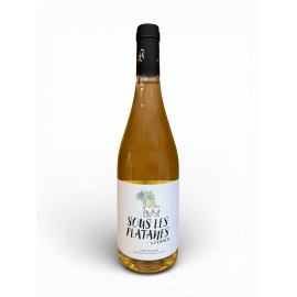 Côte du Rhône Blanc Château de l’Olivète – Cuvée Sous les platanes 2024